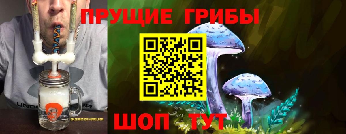 Псилоцибиновые грибы мицелий Набережные Челны