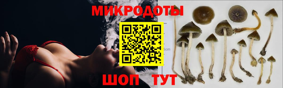 Набережные Челны  купить   Вход с VPN  Галлюциногенные грибы Psilocybine cubensis  Псилоцибиновые грибы мухоморы 